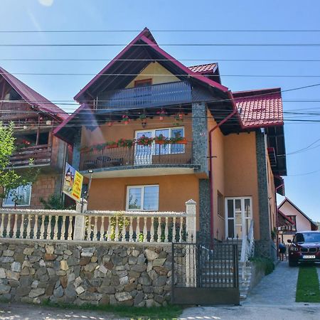 Casa Diana-Maria Apartment Curtea De Arges Luaran gambar