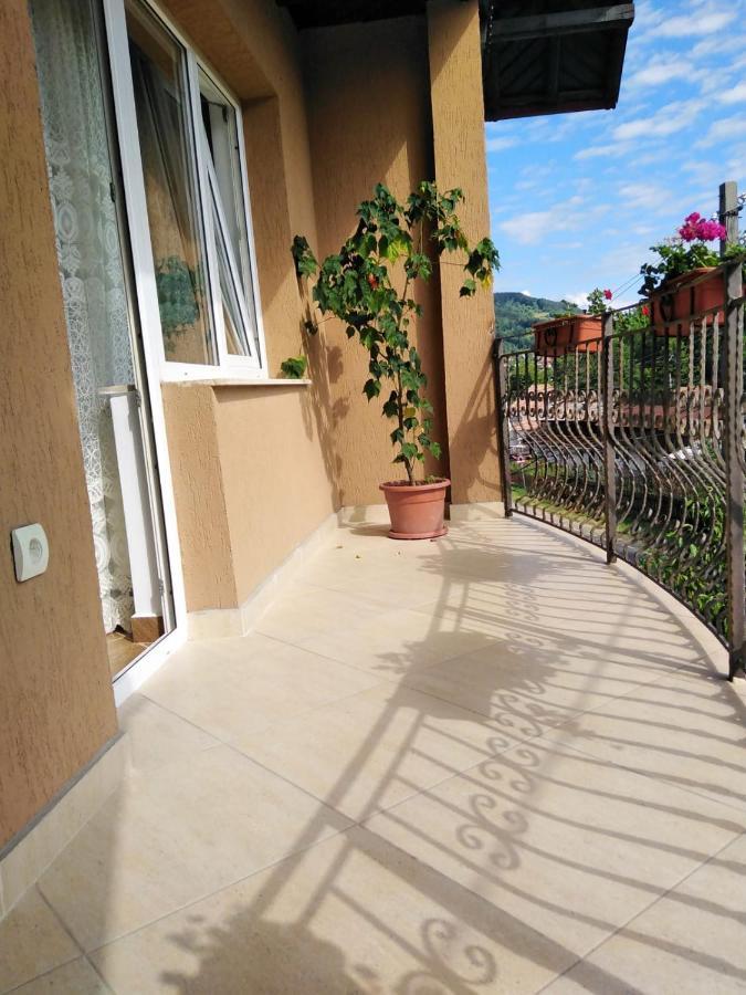 Casa Diana-Maria Apartment Curtea De Arges Luaran gambar