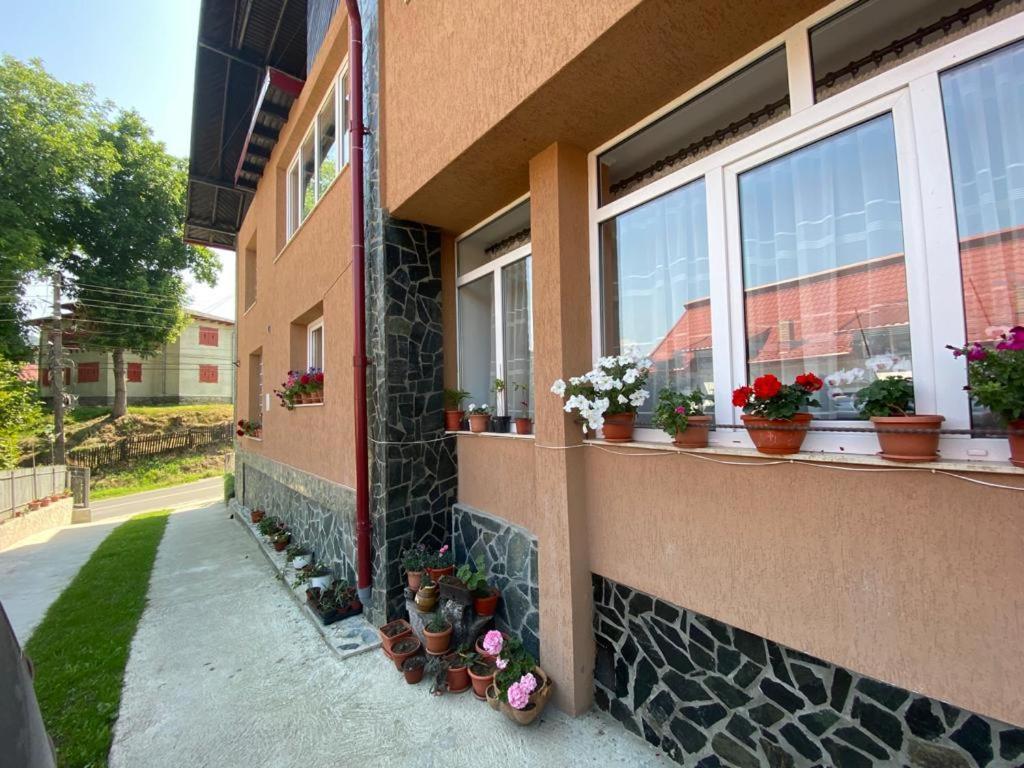 Casa Diana-Maria Apartment Curtea De Arges Luaran gambar