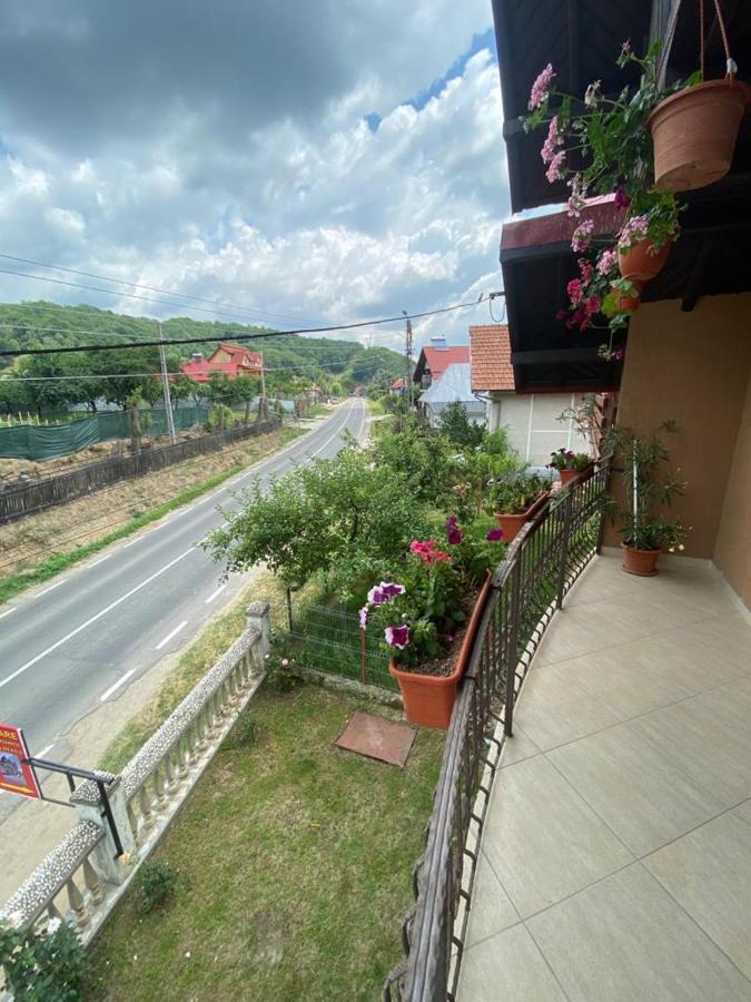 Casa Diana-Maria Apartment Curtea De Arges Luaran gambar