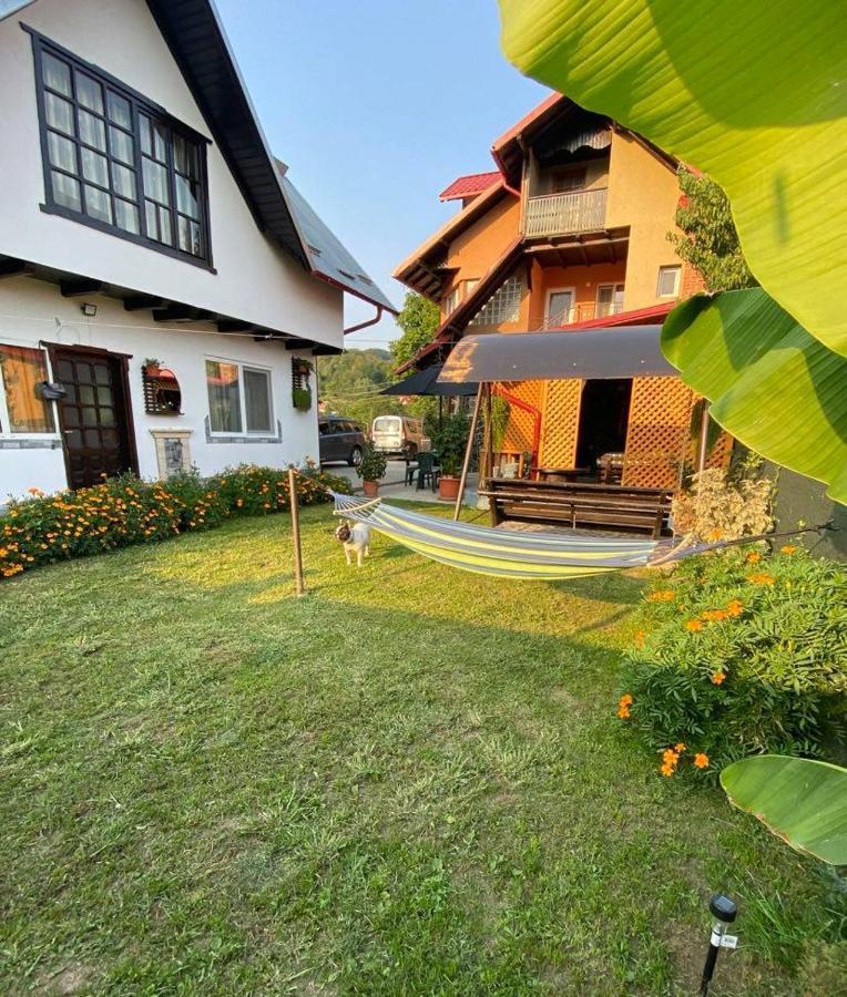 Casa Diana-Maria Apartment Curtea De Arges Luaran gambar