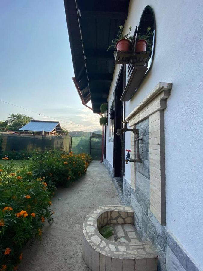 Casa Diana-Maria Apartment Curtea De Arges Luaran gambar