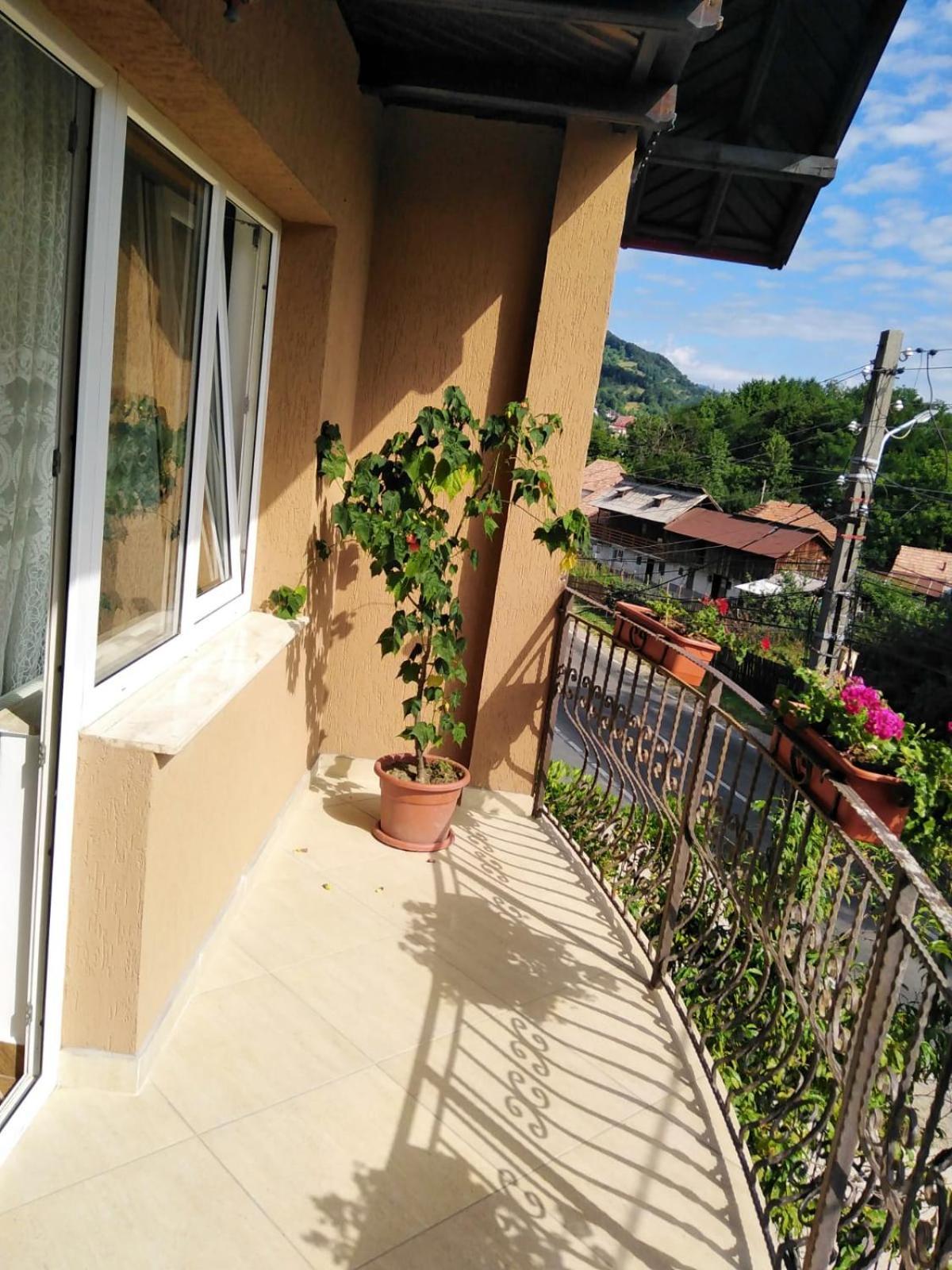 Casa Diana-Maria Apartment Curtea De Arges Bilik gambar