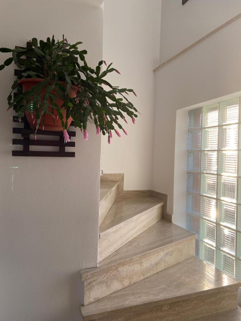 Casa Diana-Maria Apartment Curtea De Arges Luaran gambar