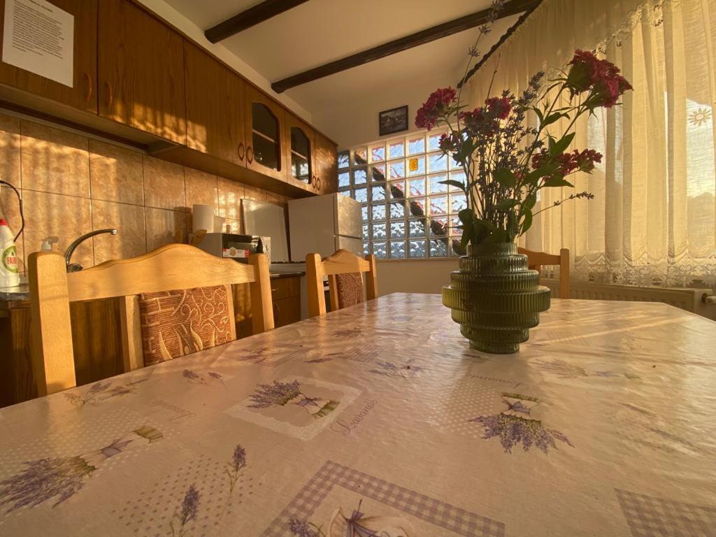 Casa Diana-Maria Apartment Curtea De Arges Luaran gambar