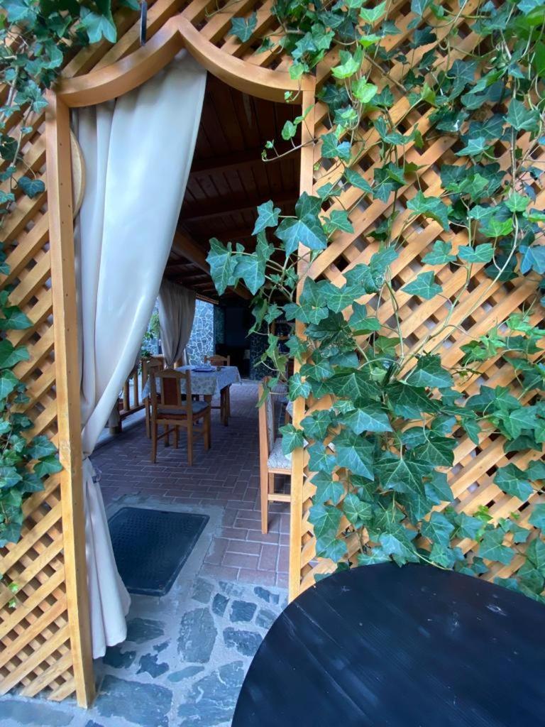 Casa Diana-Maria Apartment Curtea De Arges Luaran gambar